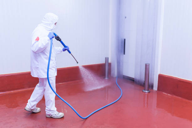 Best Driveway Pressure Washing  in Coto De Za, CA