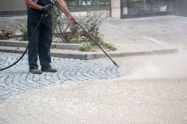 Best Pre-Holiday Cleaning  in Coto De Za, CA